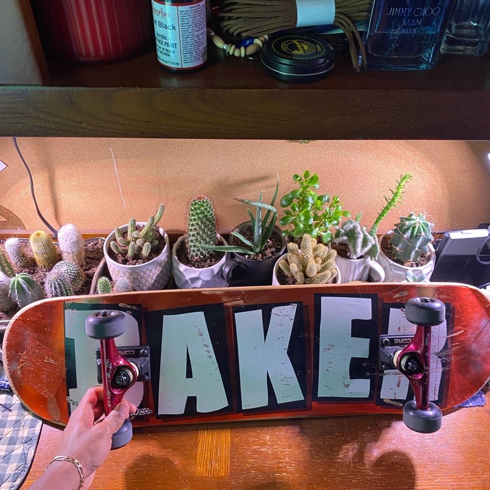 Baker skate board